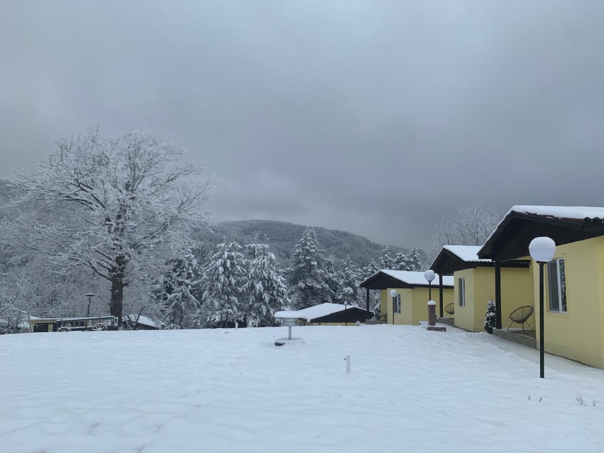 Daskalov Bungalows Chervena Lokva Экстерьер фото