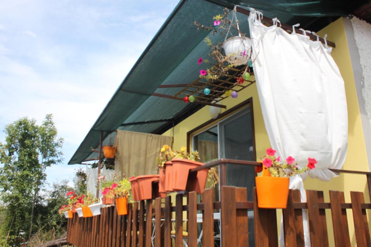 Daskalov Bungalows Chervena Lokva Экстерьер фото